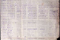 241