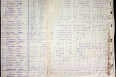 241
