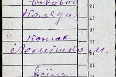 241