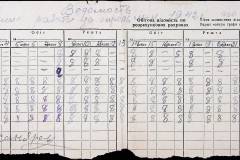 241