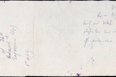 241