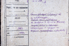 241