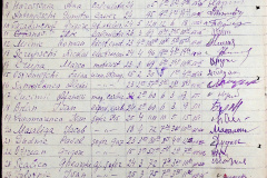 241
