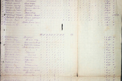 241