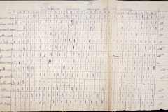 241