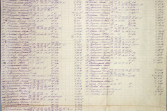 241