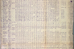241