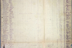 241
