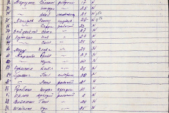241