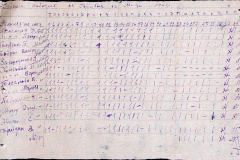 241