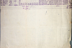 241