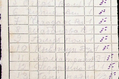 241
