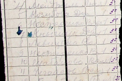 241