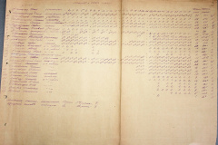 241