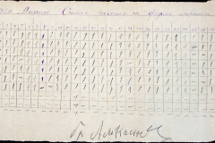 241