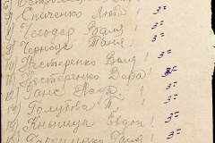 241