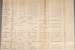 241