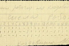 241