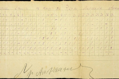 241