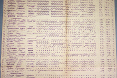 241