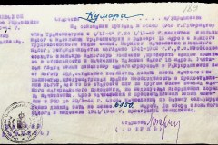 241