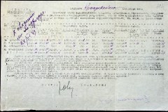 241