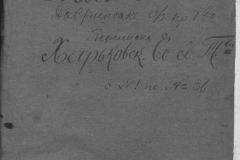 r0398-001-005-001