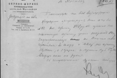 r0492-001-004-294