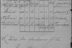 r0509-001-013-049
