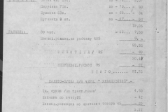 r0509-001-025-295