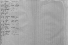 r0509-001-026-161