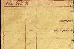 241
