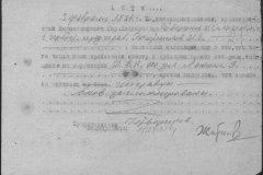 r1185-001-009-028