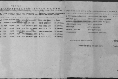 r1190-001-010-002