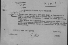 r1190-001-010-009
