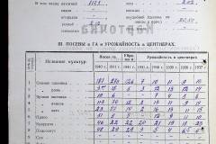 241