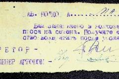 241