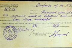 241