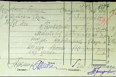 241