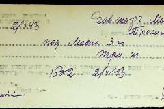 241