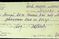 241