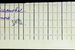 241