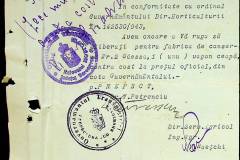 241