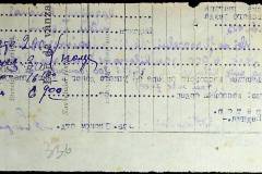 241
