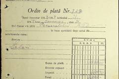 241