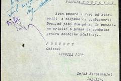241