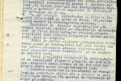 241