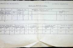 241