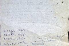241