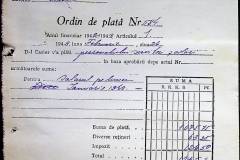 241